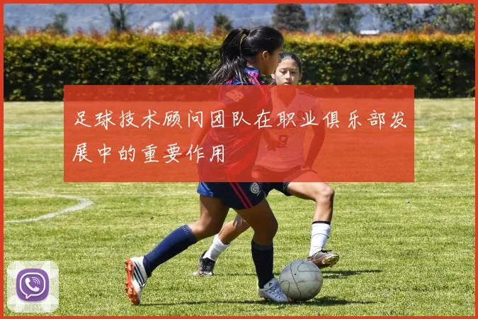 足球技术顾问团队在职业俱乐部发展中的重要作用