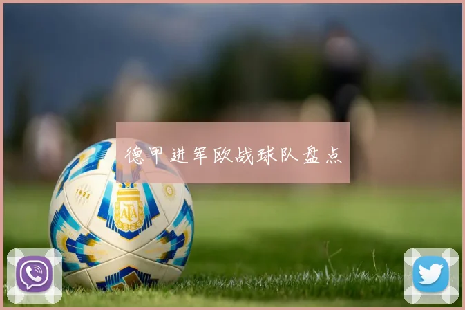 德甲进军欧战球队盘点