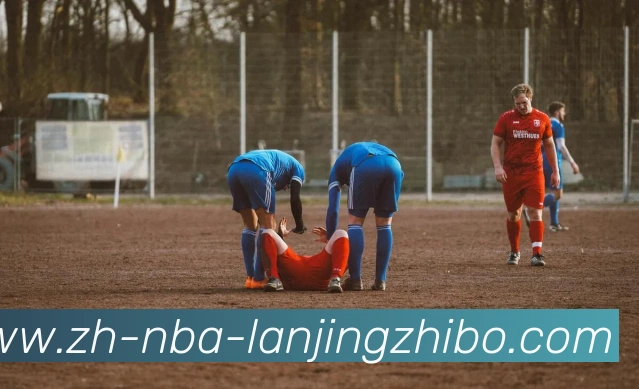 蓝鲸体育服务体系