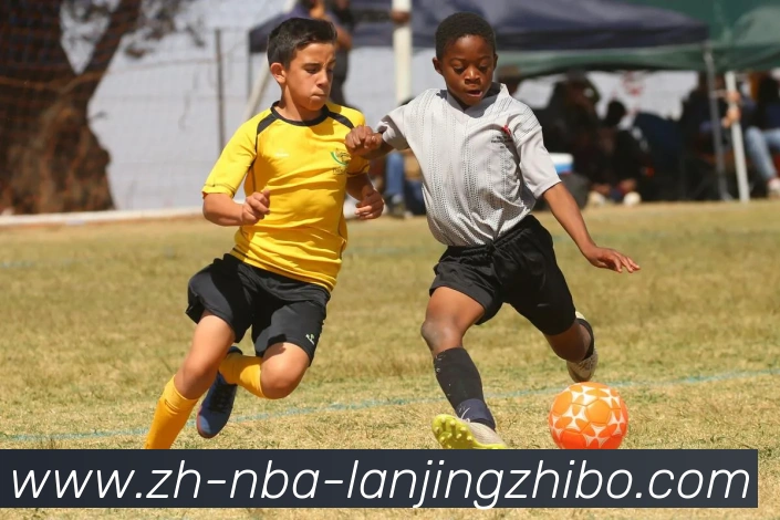 多媒体互动体验